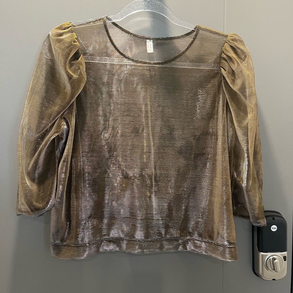 FP Sheer Puff Sleeve Blouse